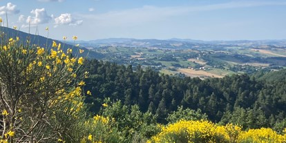 Allergiker-Hotels - Hypoallergene Bettwäsche - Ancona - Wanderwege ab Gartentor, hier im Juli direkt im Naturpark - Poggio-delle-Querce Eichenhügel