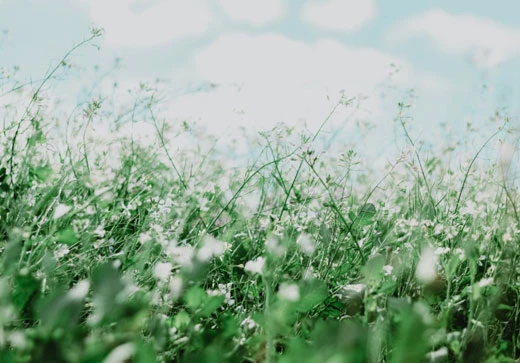 Allergiehotel &uuml;ber die Suchkriterien finden