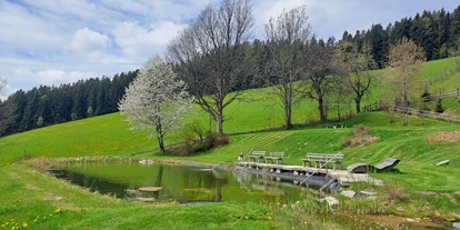 Allergiker-Hotels - Kinderbecken: Becken mit Chlor - Unser Naturteich - auch zum Schwimmen geeignet :) - Familienhotel Berger ***superior