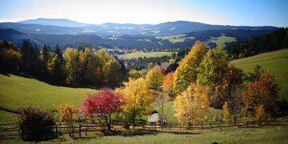 Allergiker-Hotels - Kinderbecken: Becken mit Chlor - Blick übers Joglland im Herbst - Familienhotel Berger ***superior
