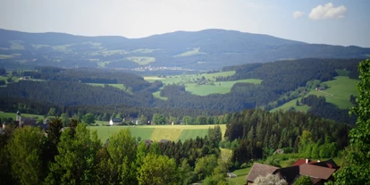 Allergiker-Hotels - Kinderbecken: Becken mit Chlor - Ausicht über St. Jakob im Frühling - Familienhotel Berger ***superior
