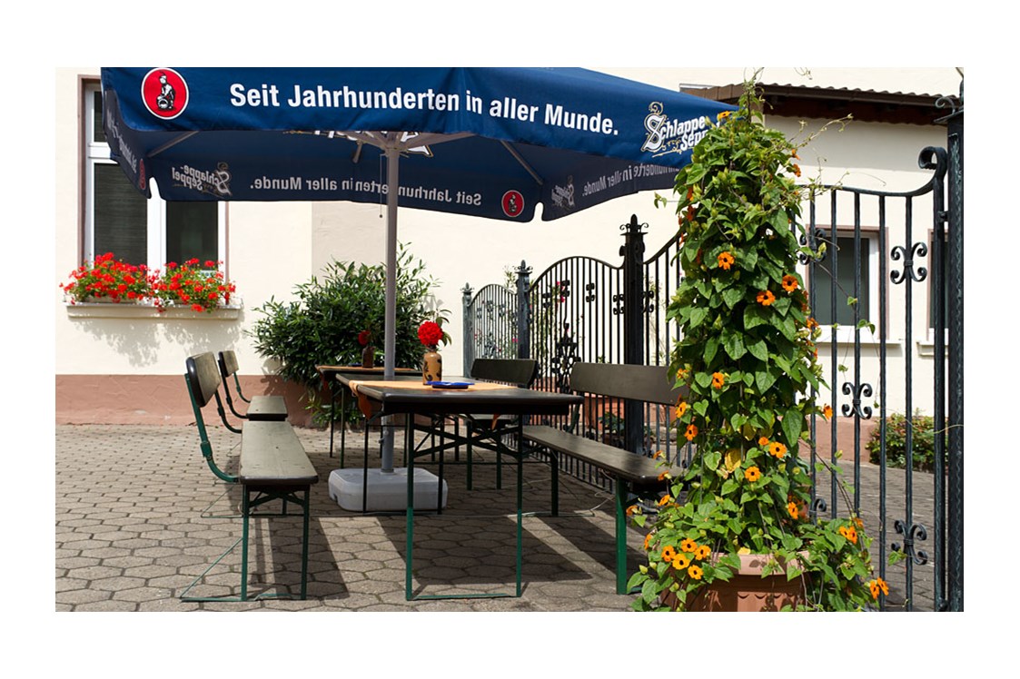 Hotel-fuer-Allergiker: Biergarten/Freisitz - Hotel-Gasthof Zum Freigericht