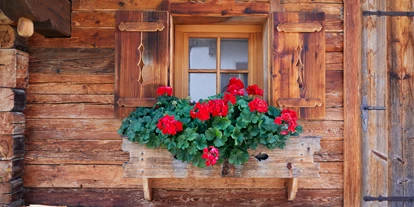 Allergiker-Hotels - Sauna - Almdorf Flachau