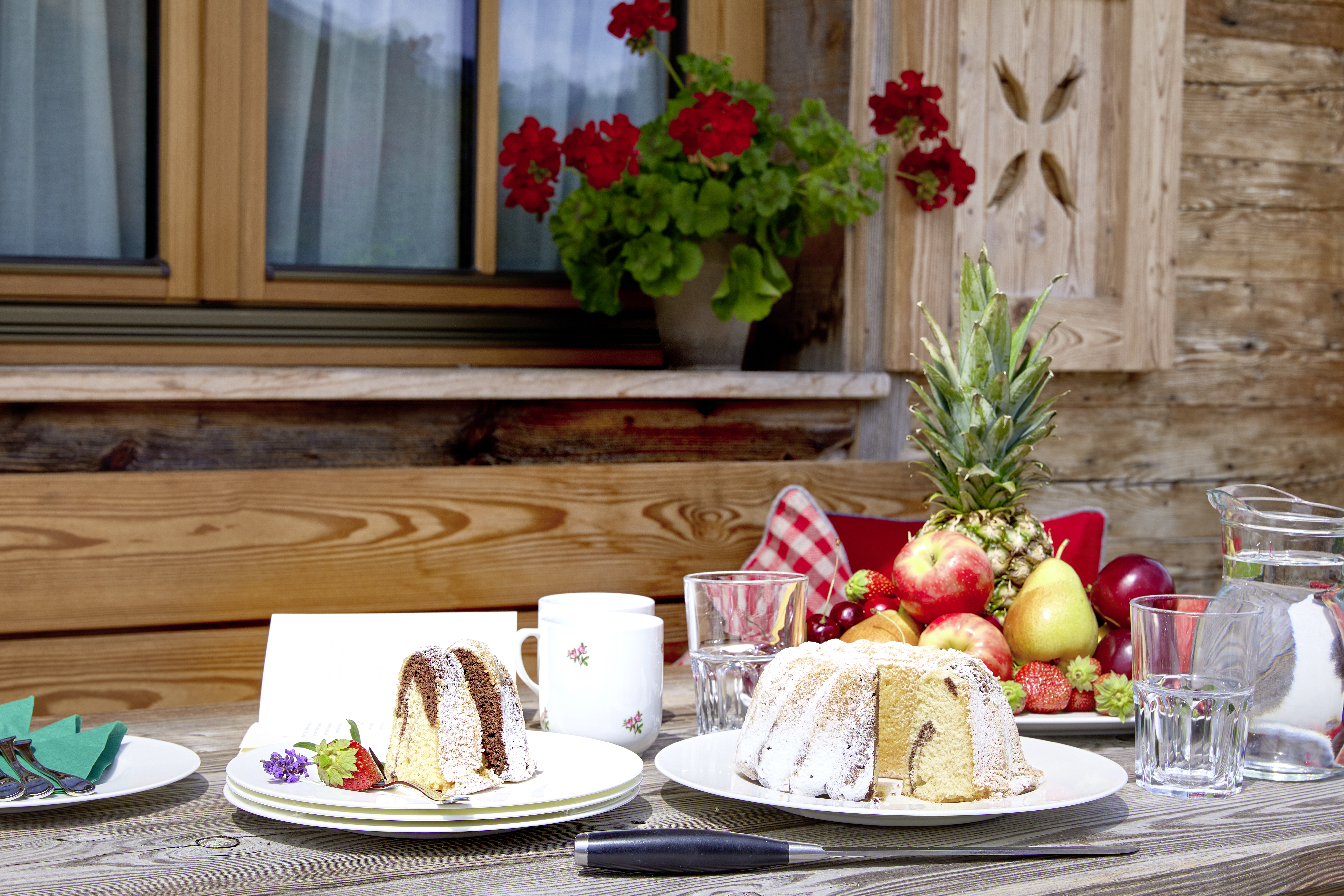 Hotel-fuer-Allergiker: Promi Alm Flachau