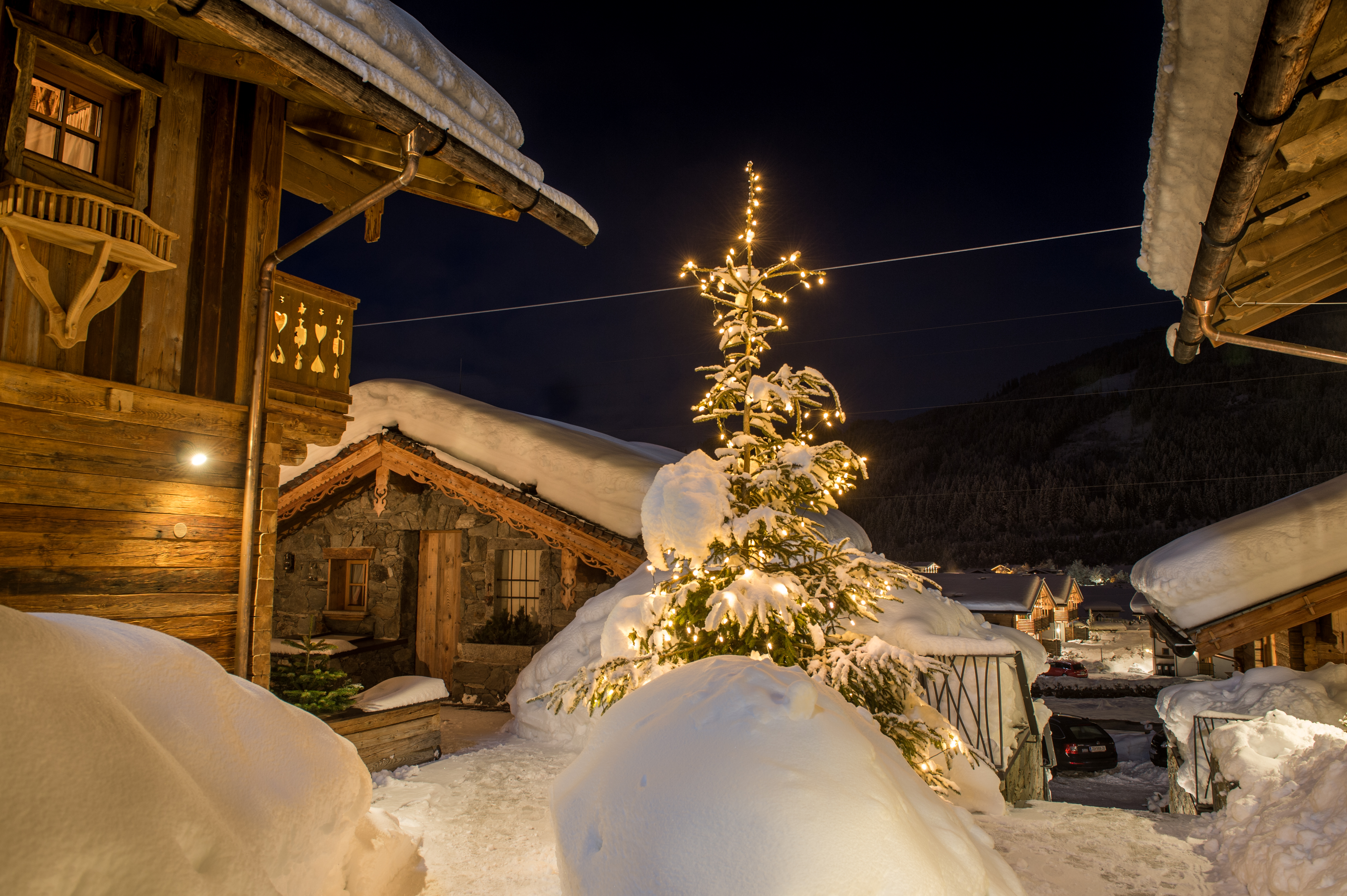 Hotel-fuer-Allergiker: Promi Alm Flachau