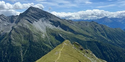 Allergiker-Hotels - rauchfreies Hotel - Berggruppe Ankogel - Haus Seebach