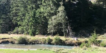 Allergiker-Hotels - rauchfreies Hotel - Tauerntal - Haus Seebach