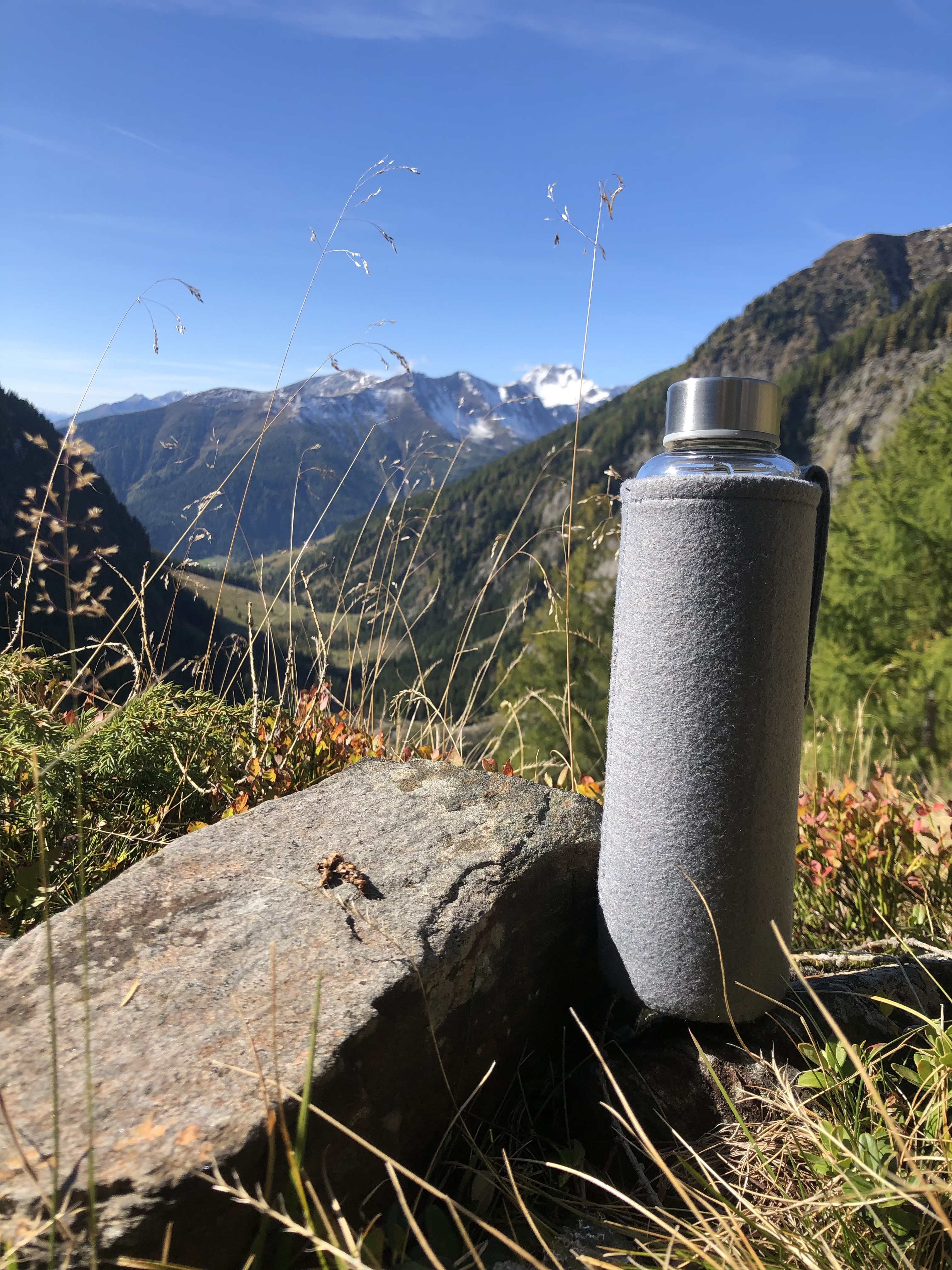 Allergiker-Hotels - berücksichtigte Nahrungsmittelunverträglichkeiten beim Essen: Laktoseintoleranz - Ankommen..Wohlfühlen - Haus Seebach 