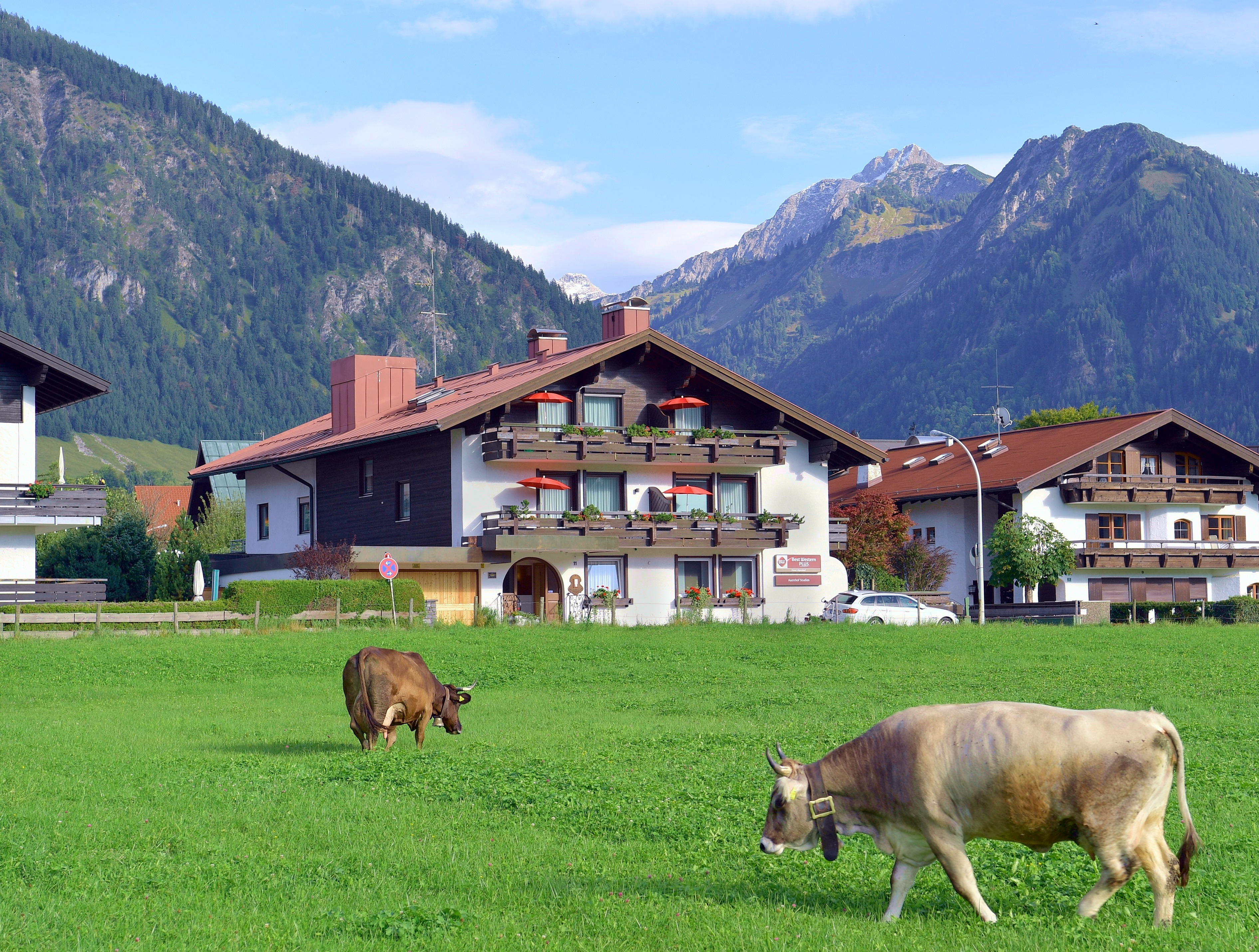Hotel-fuer-Allergiker: Dependance Auenhof - Die Auenhof Studios sind allesamt allergikerfreundlich. - Alpenhof Oberstdorf Hotel & SPA