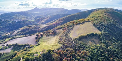 Allergiker-Hotels - rauchfreies Hotel - Umgebung des Hauses in Alleinlage (Hintergrund Monte Murano - Apennin (Bergmassiv) - Poggio-delle-Querce Eichenhügel