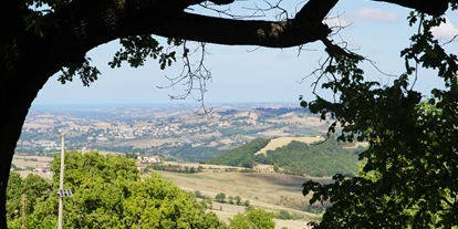 Allergiker-Hotels - rauchfreies Hotel - Blick von einer der Terrassen, Richtung Meer, große Steineichen als Schattenspender vorhanden, daneben Ulmen, Olivenböume. - Poggio-delle-Querce Eichenhügel