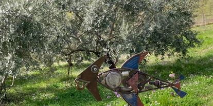 Allergiker-Hotels - rauchfreies Hotel - Kunst im Garten: Marco Cesandri - Poggio-delle-Querce Eichenhügel