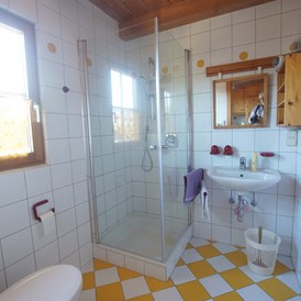 Hotel-fuer-Allergiker: Badezimmer mit Fenster
Dusche, Waschbecken, WC - Hochkrimml 108/2