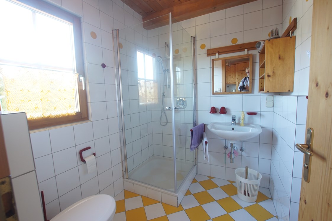Hotel-fuer-Allergiker: Badezimmer mit Fenster
Dusche, Waschbecken, WC - Hochkrimml 108/2