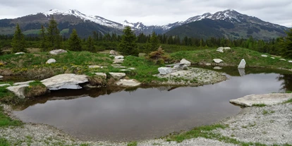 Allergiker-Hotels - rauchfreies Hotel - angelegtes Planschbecken für Klein & Groß am Filzstein (ca 15 min zu Fuß) - Hochkrimml 108/2