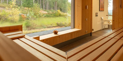 Allergiker-Hotels - Sauna - Sauna mit Panoramafenster - Hotel Schöne Aussicht
