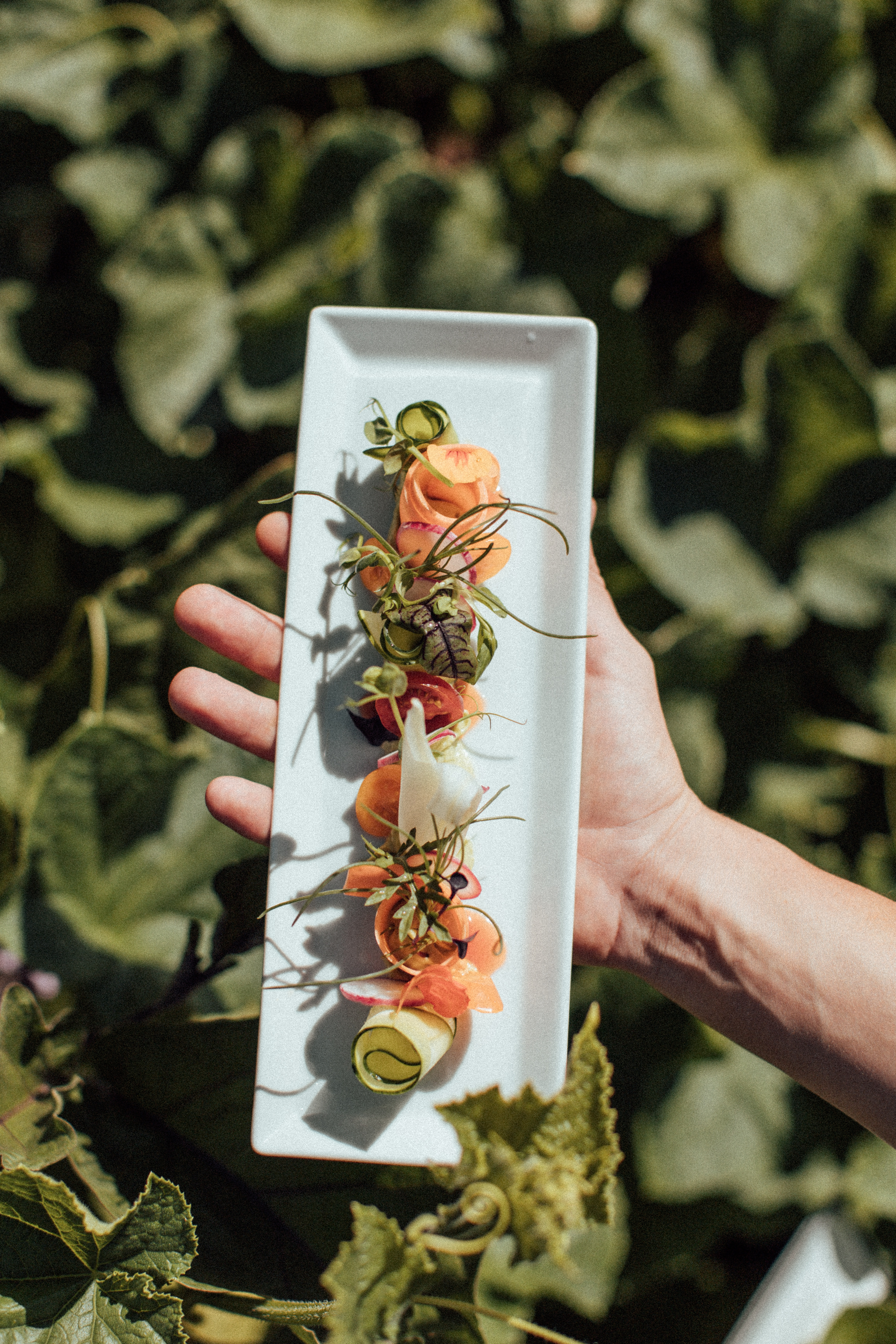 Hotel-fuer-Allergiker: theiner's garten - Biorefugium