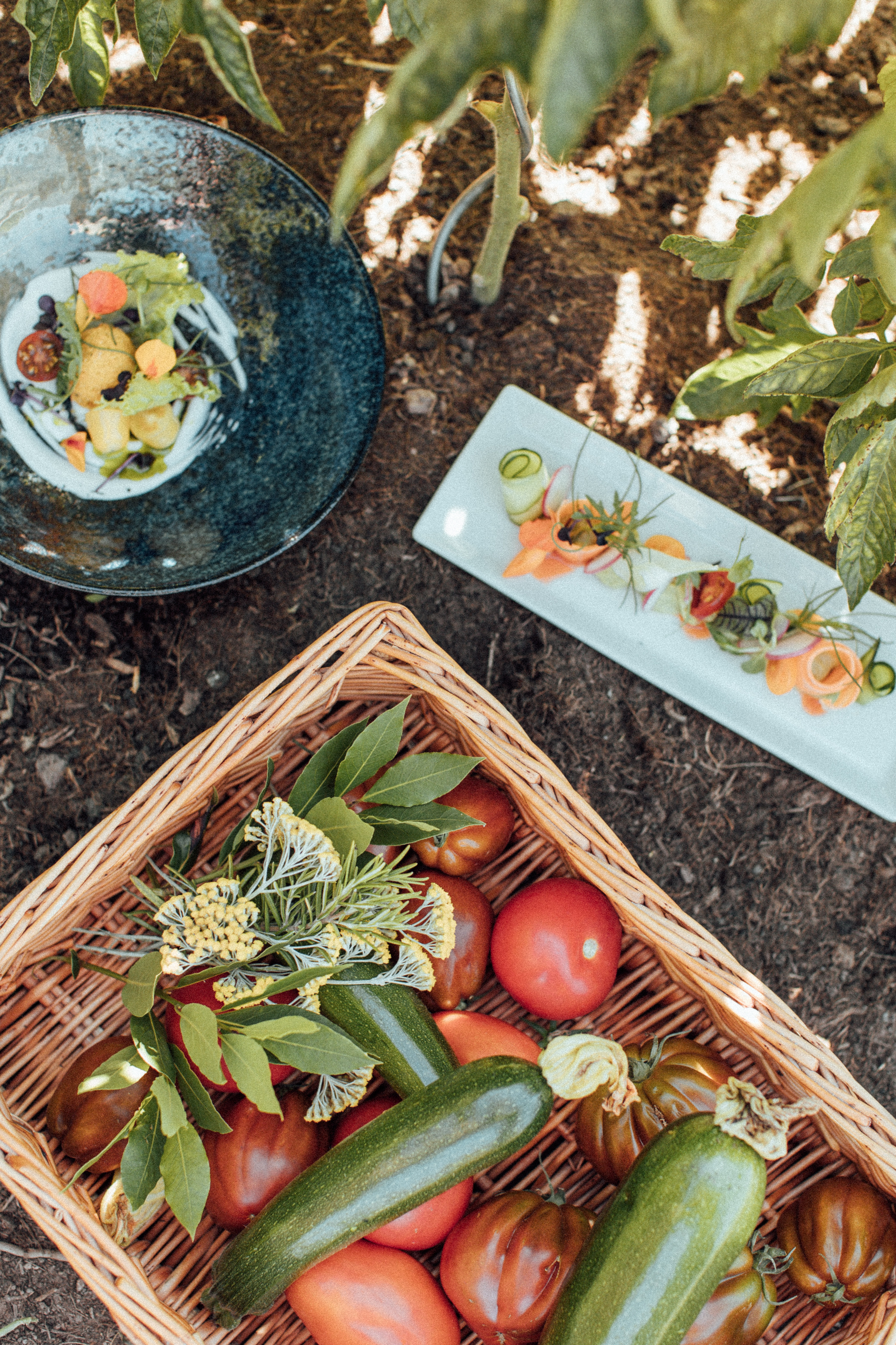 Hotel-fuer-Allergiker: theiner's garten - Biorefugium