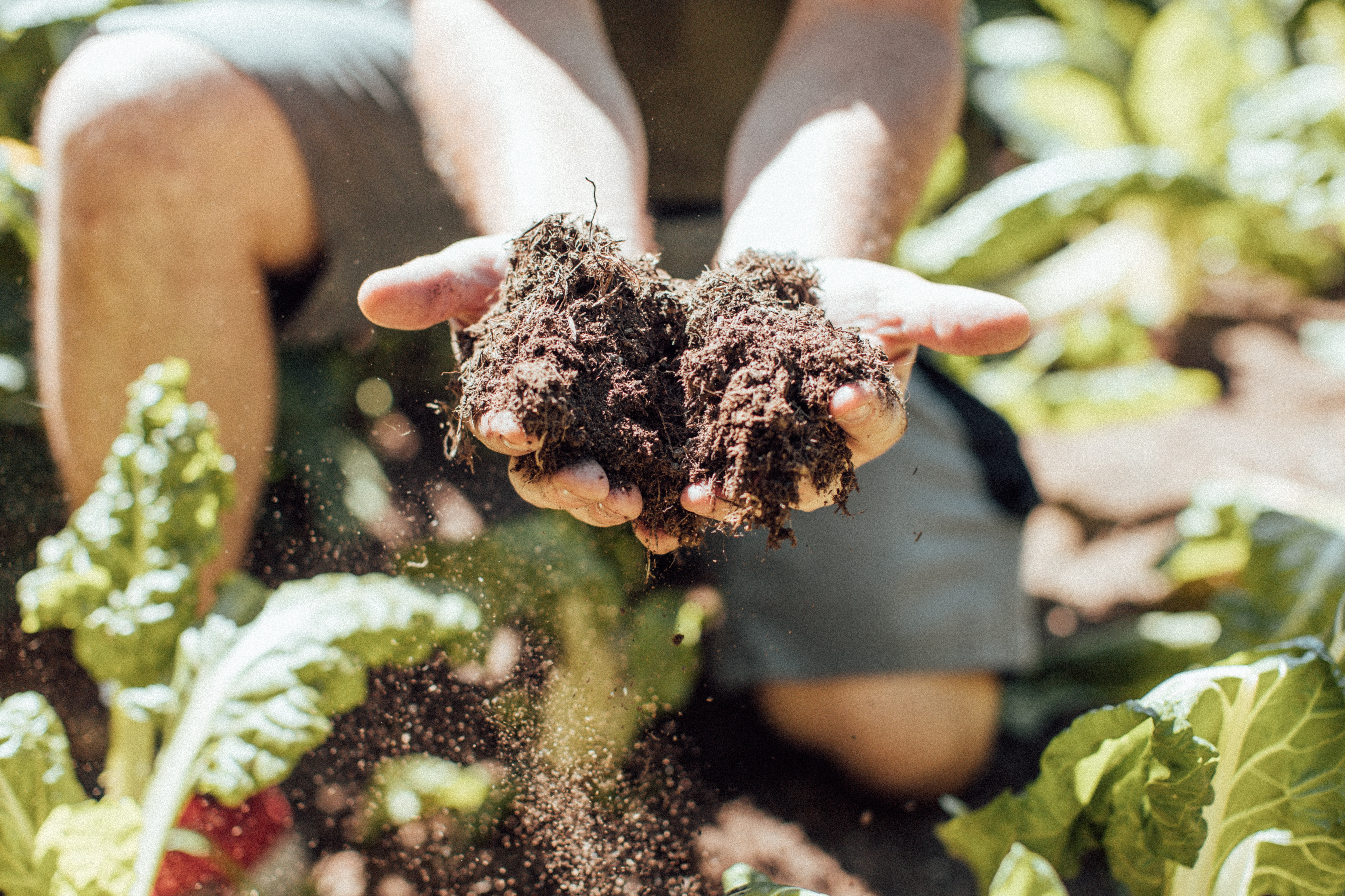 Hotel-fuer-Allergiker: theiner's garten - Biorefugium