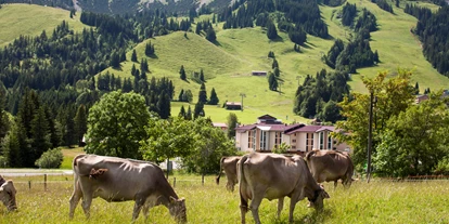Allergiker-Hotels - Sauna - Umegebung - Panoramahotel Oberjoch