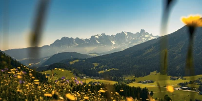 Allergiker-Hotels - rauchfreies Hotel - Blcik zum Gosaukamm mit Bischofsmütze - Gesund und Vital Landhotel Anna