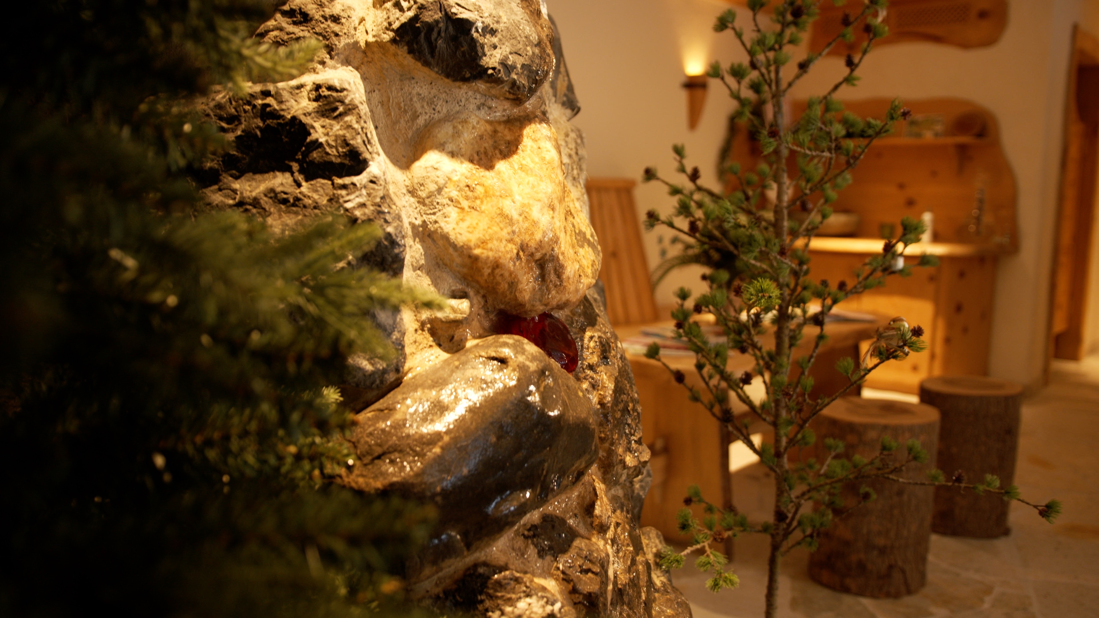 Allergiker-Hotels - Whirlpool - Natur-Spa-Innenbereich - Naturresort Gerbehof - Bio-Landhotel